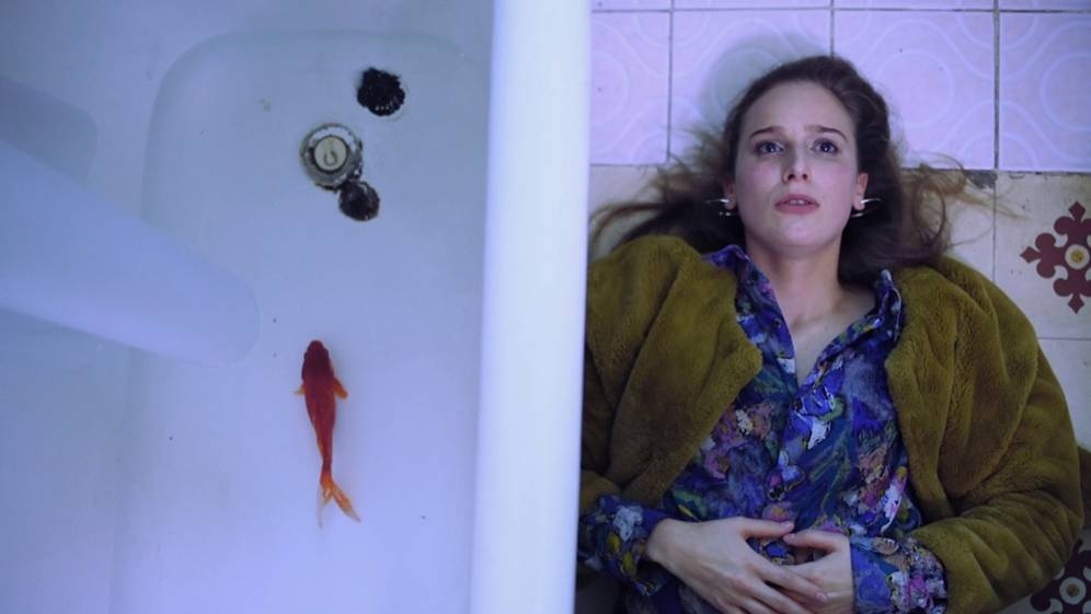 ESAY realiza muestra de cortometrajes gratuita